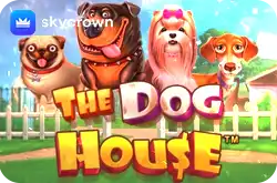 The Dog House